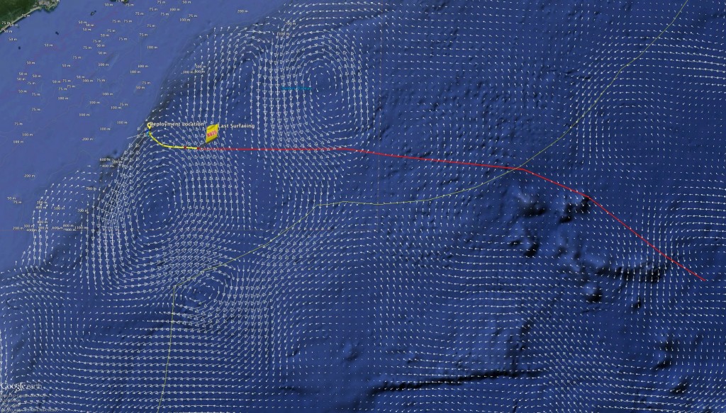 Copernicus Currents from ~300m depth