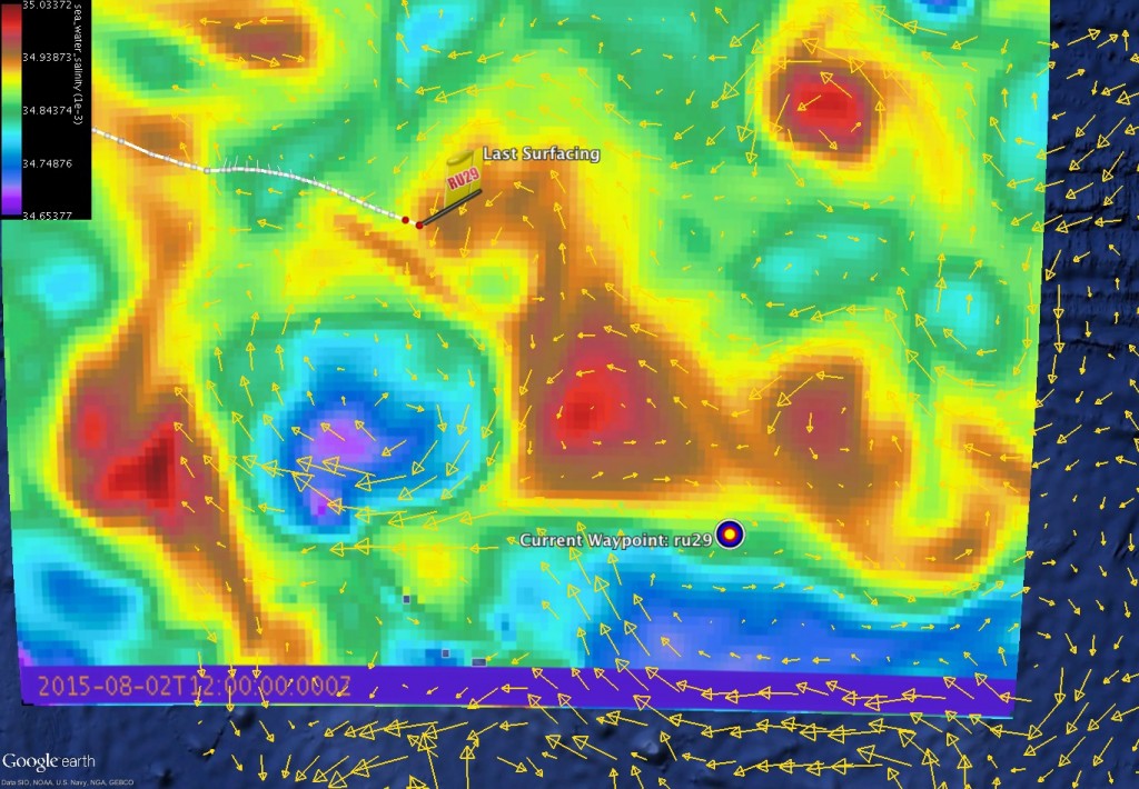 Copernicus Salinity field forecast for 540m depth